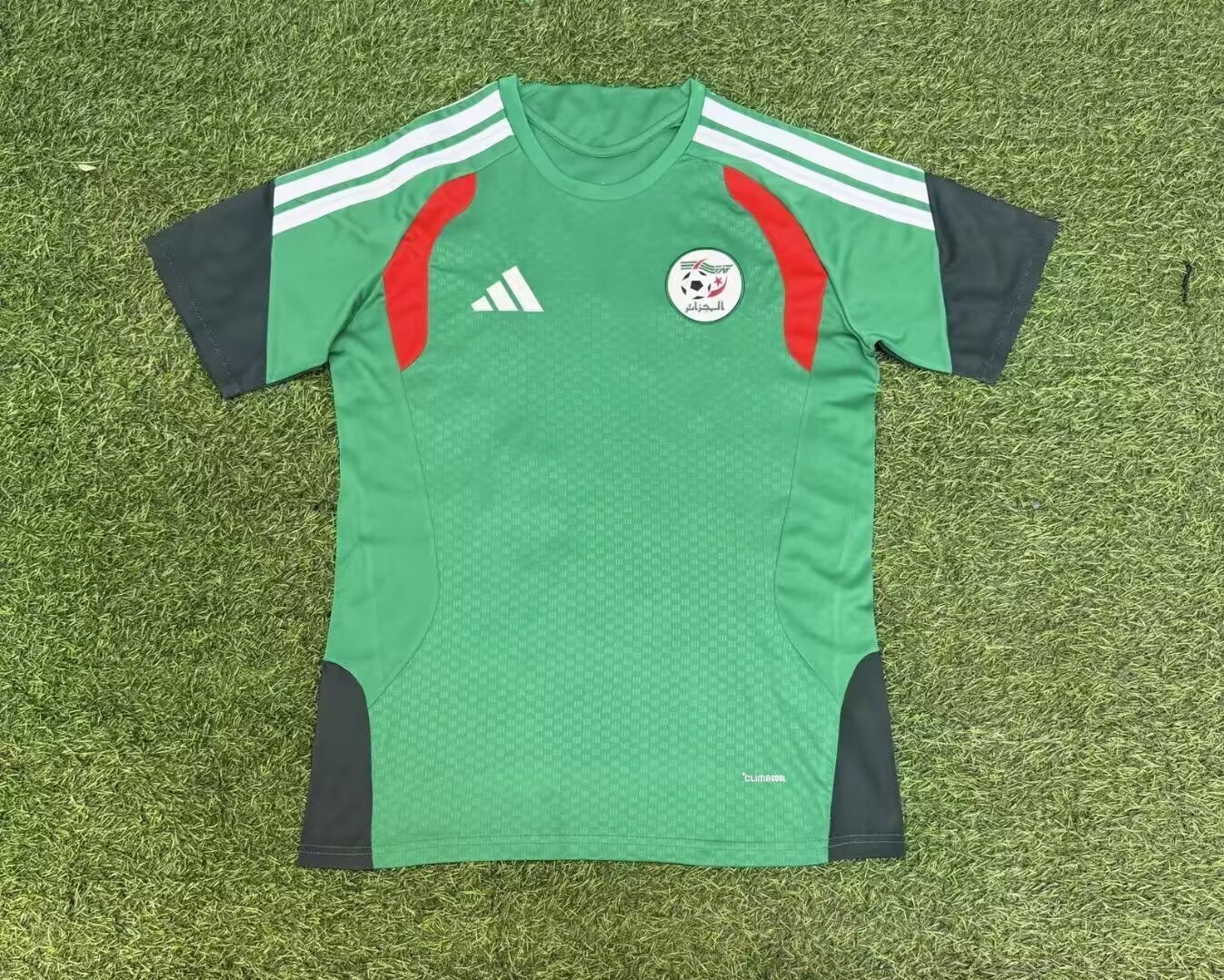 Algerie Green maillot entrainement 26/27